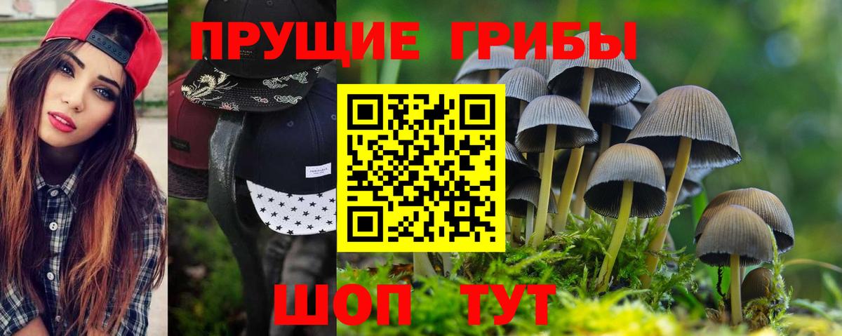 Муравленко  Псилоцибиновые грибы мухоморы  Вход с VPN 