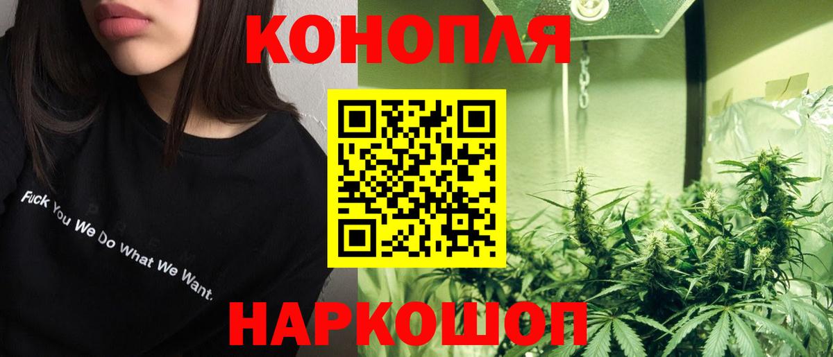 Бошки Шишки тримм Муравленко